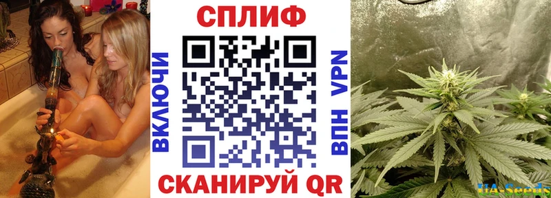 Купить закладки  Строитель  Шишки марихуана White Widow 